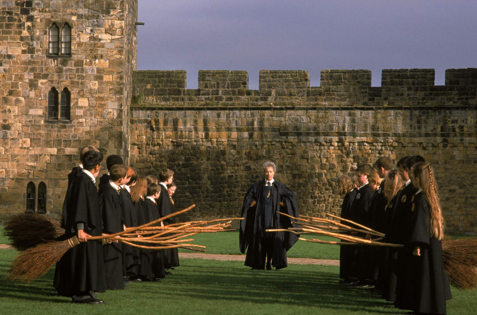 Dove Vedere La Réunion Di Harry Potter