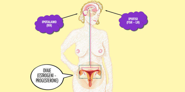 fare l amore il giorno dopo del ciclo